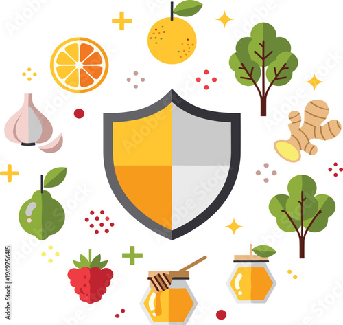 Natural Immunity Booster Concept with Shield Icon, Healthy Food Ingredients, Fruits, Honey, Ginger, and Wellness Protection Vector Illustration Design.