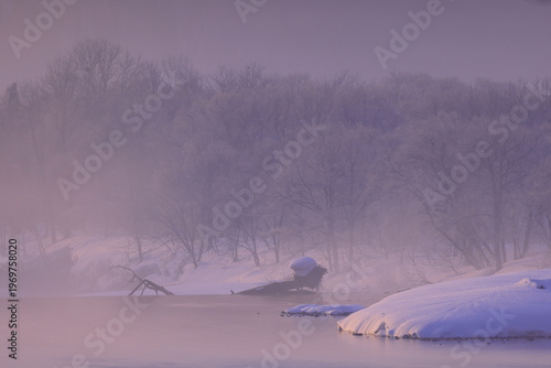 朝陽に染まる樹氷と川霧