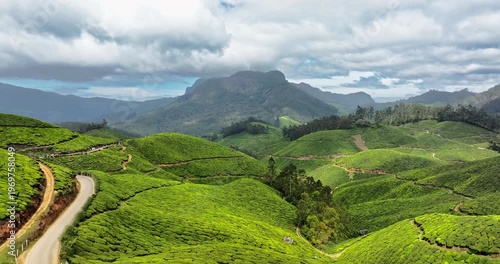 Wallpaper Mural Forward fly Aerial view of Tea Plantation hill in Munnar, Kerala, India. Cinemati Aerial View of Munnar. Aerial view of a tea plantation in Munnar. The beautiful Western Ghats mountain range in Kerala Torontodigital.ca
