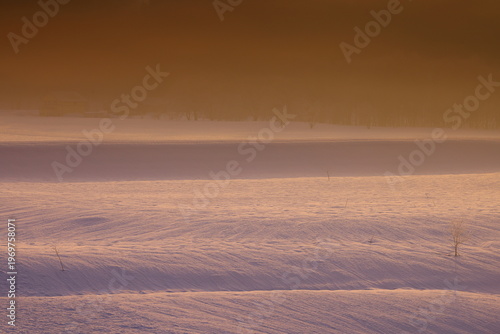 朝陽に染まる樹氷と川霧
