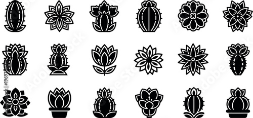 Black and white cactus and succulent plants desert plants