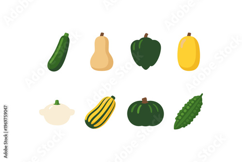 Assorted Squash and Gourds Collection