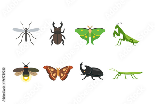 Collection of Insect Illustrations