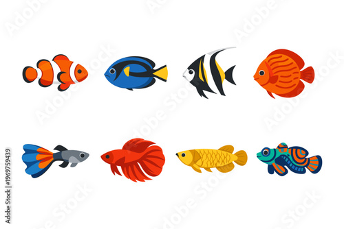 Diverse Aquarium Fish Collection