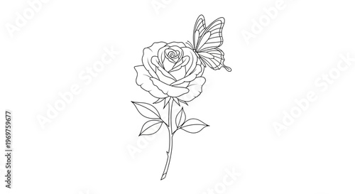 Line Art Butterfly on Rose Flower