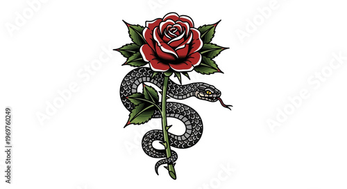 Snake coiled around a red rose on white background, tattoo art style