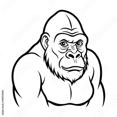 Gorilla ape primate face head strong powerful line art illustration wildlife