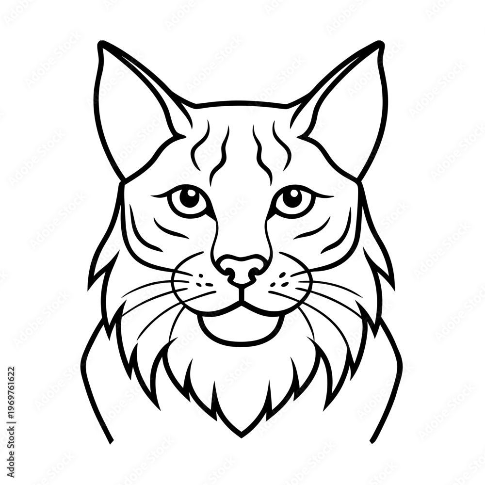 Fototapeta premium Lynx head illustration on transparent background isolated wild cat predator animal face