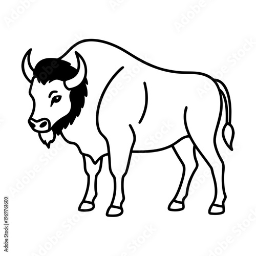 Bison outline illustration on transparent background isolated western mammal wild animal vector