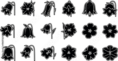 Black and white lily bell flower flowers