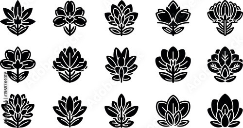Black and white succulent plant succulents plant black and white floral leafy patterns white background