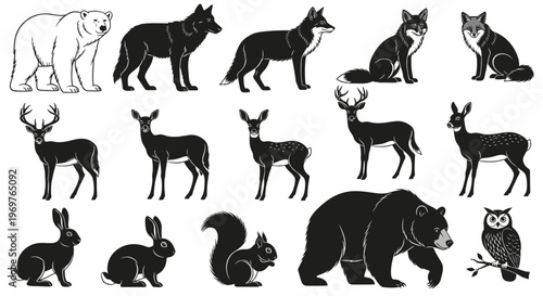 Collection of various wild animals in silhouette and outline form.