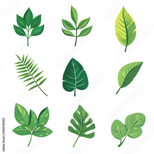 Botanical Greenery Nature Icon Set Design