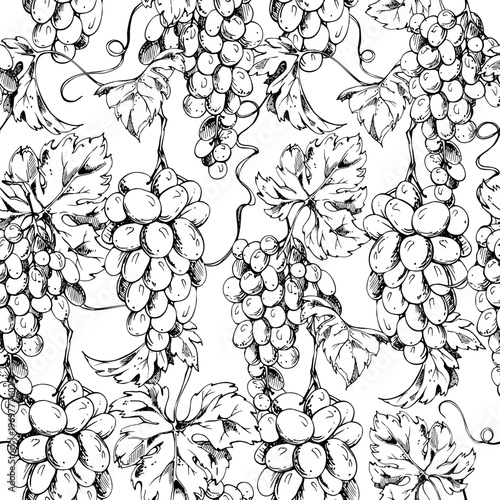 All-over grapevine seamless pattern featuring detailed grape fruit bunches and flowing foliage hand drawn in ink. Seamless vector illustration for branding backgrounds, stationery, fabric prints.