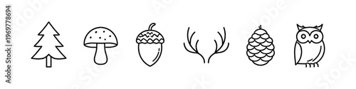 Collection of simple line art icons representing forest elements and wildlife