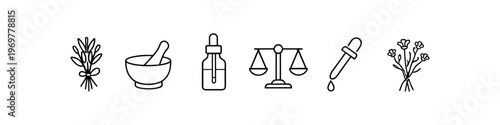 Herbal remedies and natural medicine icons for wellness and health