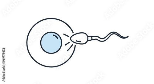 Simple vector icon depicting human reproduction with a single sperm cell approaching an egg for fertilization on white background.