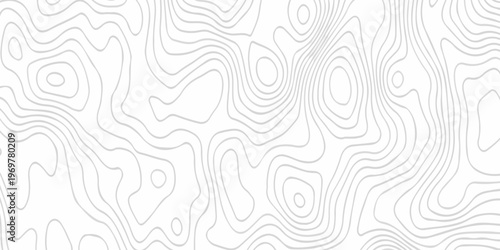 Abstract background vector. Abstract topographic contours map background. Abstract white pattern topography vector background. Black and white topography contour line map isolated on white background.