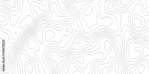 Abstract background vector. Abstract topographic contours map background. Abstract white pattern topography vector background. Black and white topography contour line map isolated on white background.
