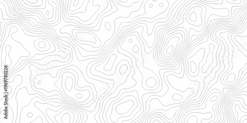 Abstract background vector. Abstract topographic contours map background. Abstract white pattern topography vector background. Black and white topography contour line map isolated on white background.