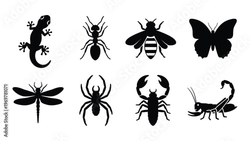 A collection of diverse insect and reptile silhouettes featuring a lizard butterfly spider and scorpion silhouette high quality professional detailed modern