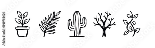 Marine Coral and Seaweed Line Icons Set