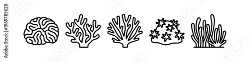 Hand Drawn Ocean Coral and Seaweed Icons Set