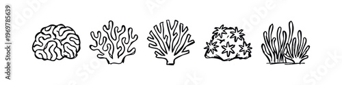 Various Steak Meat Cuts Line Icons Set