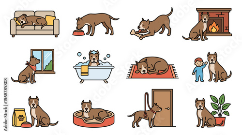 Flat line style pitbull dog daily life vector icon set. Indoor home activities featuring pet relaxing on sofa, sleeping by fireplace, taking a bath, eating, playing with kid, walking