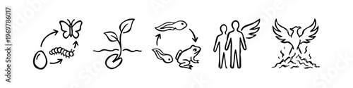 Hand-Drawn Doodle Evolution and Transformation Icons Set. Sketchy Life Cycle and Development Symbols
