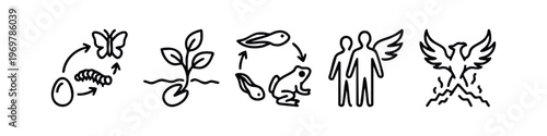Set of Five Clean Outline Evolution and Transformation Icons. Modern Lifecycle and Development Symbols