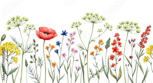 Vibrant Watercolor Seamless Border of Wildflowers and Delicate Blossoms in a Field of Greenery