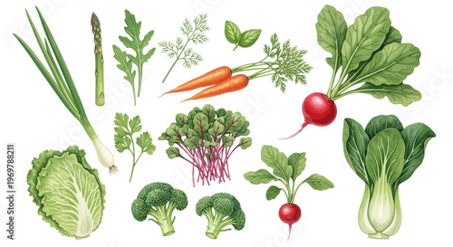 A vibrant collection of fresh, healthy vegetables, including carrots, radishes, bok choy, broccoli, lettuce, and herbs, perfect for culinary inspiration and healthy eating
