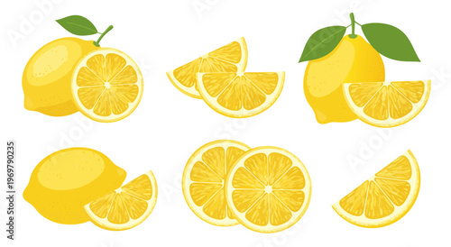 Vector illustration of fresh yellow lemons and slices in rows arrangement against blank background