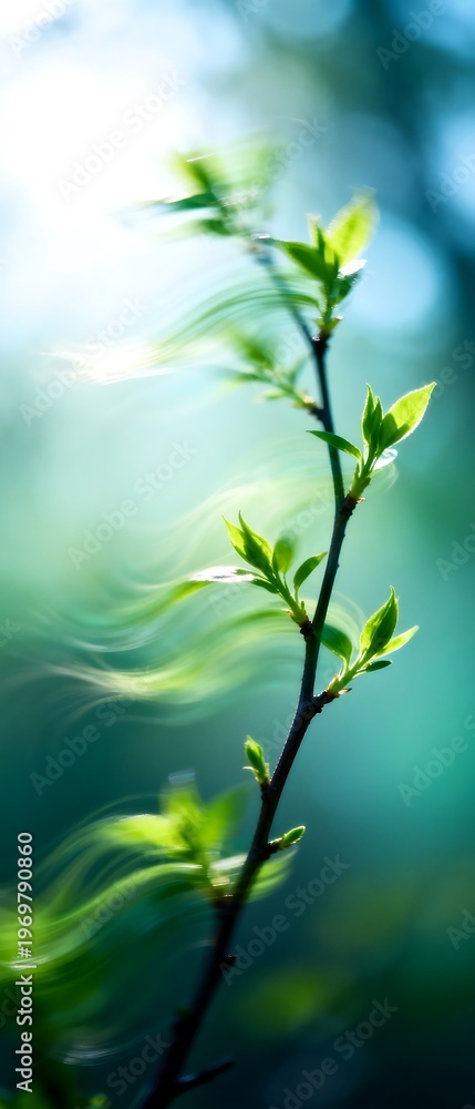 Naklejka premium Young Green Sprout Branch with Fresh Leaves