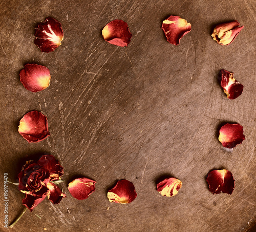 Frame from petals of dry  roses is on scratched metal backgrounds.