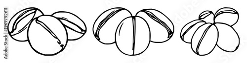 Coffee beans set with three individual beans and simple line art design featuring caffeine, espresso, cappuccino with java and mocha