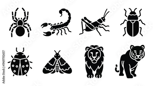 A collection of black animal and insect silhouettes including spiders scorpions and big cats silhouette high quality professional detailed modern elegant
