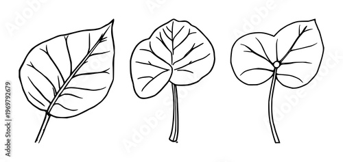 Pilea leaf set with single black line art illustration featuring fresh, houseplant, botanical with tropical and nature design