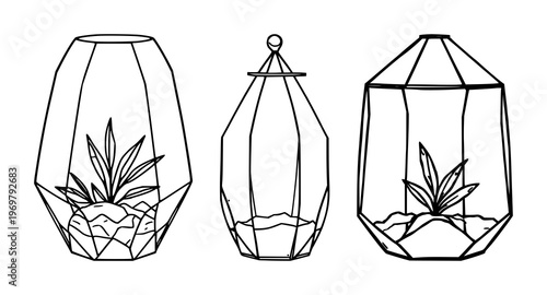 Glass terrarium set with geometric black line art design on white background featuring aquariums, plants, sculptures with minimalist and botanical