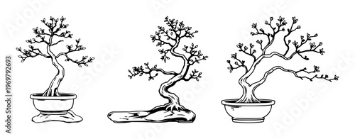 Bonsai pruning snips set with thin black line art design featuring gardening, shears, cutting tools with horticulture and plant care