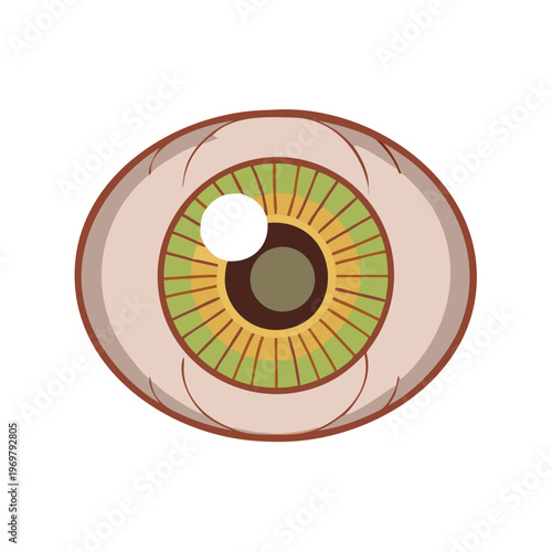 A blue human eye vector illustration featuring a detailed iris, pupil, and retina design for medical anatomy or vision eyesight icons