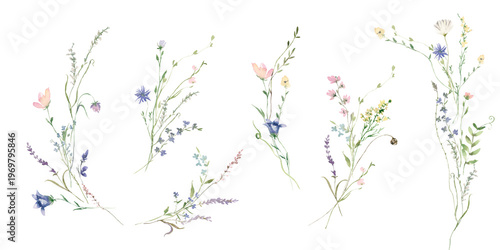 Foto Watercolor Midsummer floral Bouquets collection with hand painted delicate leaves, wildflowers