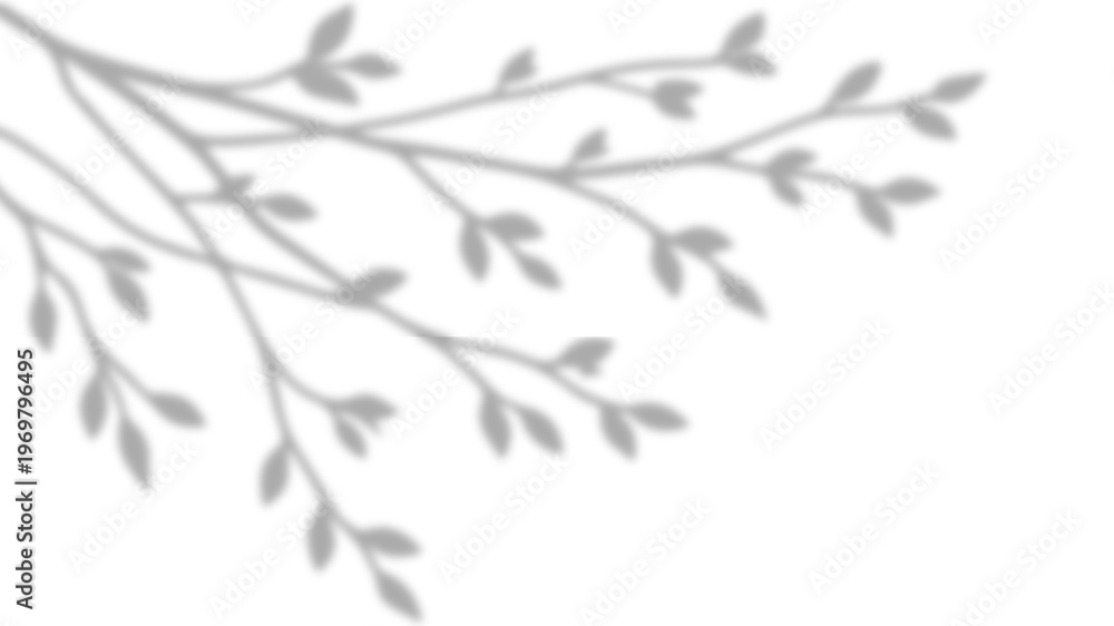 Fototapeta premium Realistic Small Leafy Branches and Foliage Shadow Overlay Effect on White Wall, Aesthetic Summer Sunlight Botanical Shadow, Abstract Natural Plant Stem Shadow Overlay
