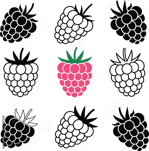 Flat vector illustration of raspberry fruit icons, colorful berry design with black silhouettes, unique standout pink raspberry with green leaves
