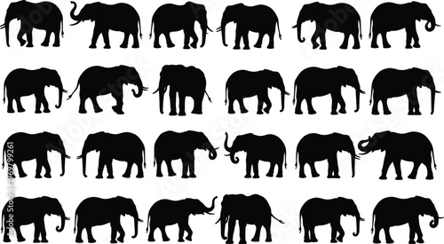 Collection of Twenty Four Diverse African and Indian Elephant Silhouettes in Various Walking Standing and Trumpeting Poses Isolated on a White Background.