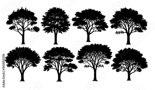 Creative Woodland Tree Silhouette Set with Birds and Artistic Canopy Patterns