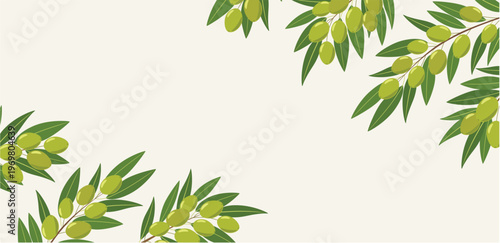 Mediterranean Olive Branch Corner Frame on Neutral Background Rustic Botanical Banner for Olive Oil Branding Packaging and Kitchen Design