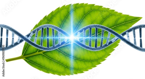 Glowing DNA Strand with Green Leaf – Genetic Research, Biotechnology and Natural Medicine Concept, 3D Render Isolated on White Background