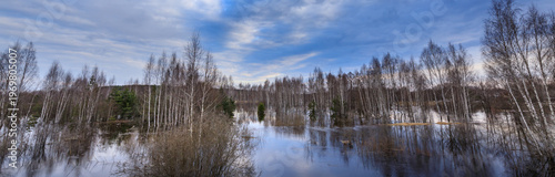 Serene flooded forest reflects sky and trees